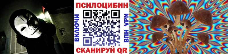 даркнет сайт  Циолковский  мориарти формула  Галлюциногенные грибы мухоморы 
